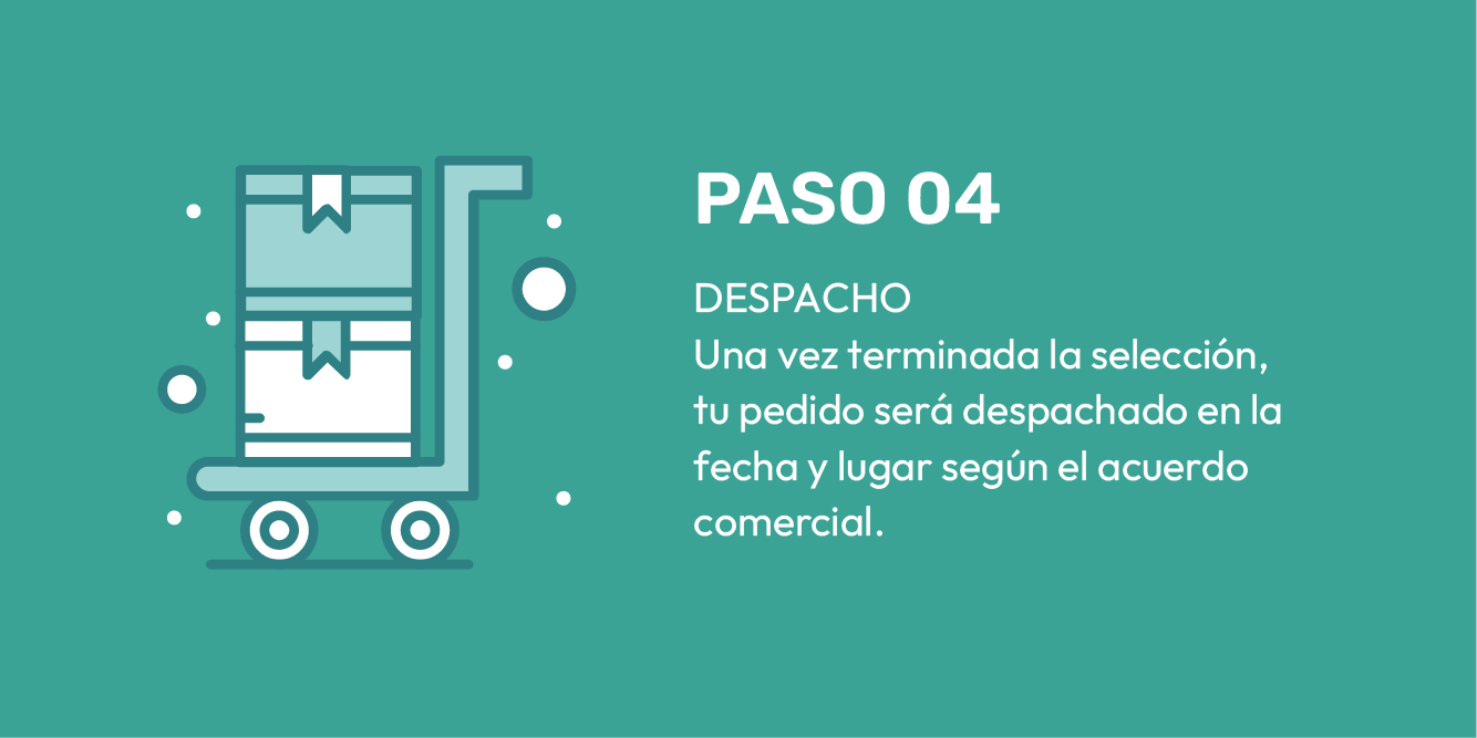 PASO 4