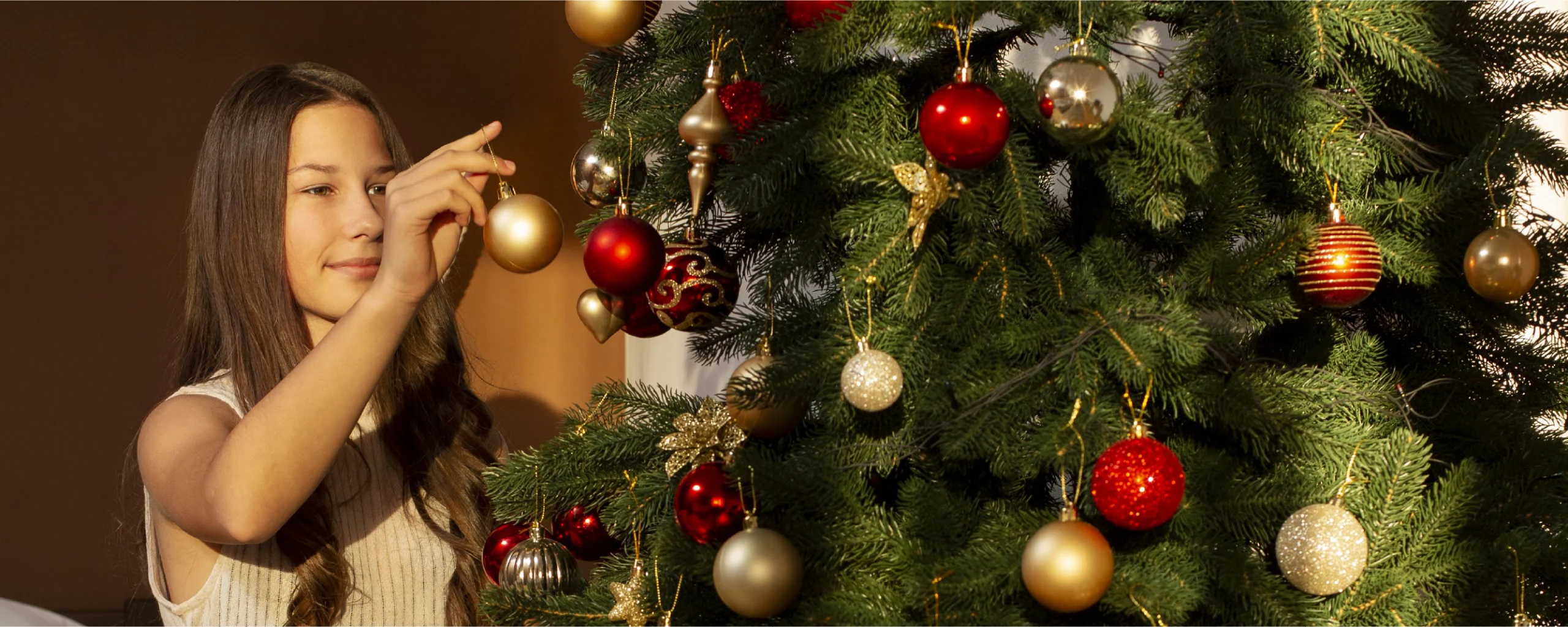 banner_navidad